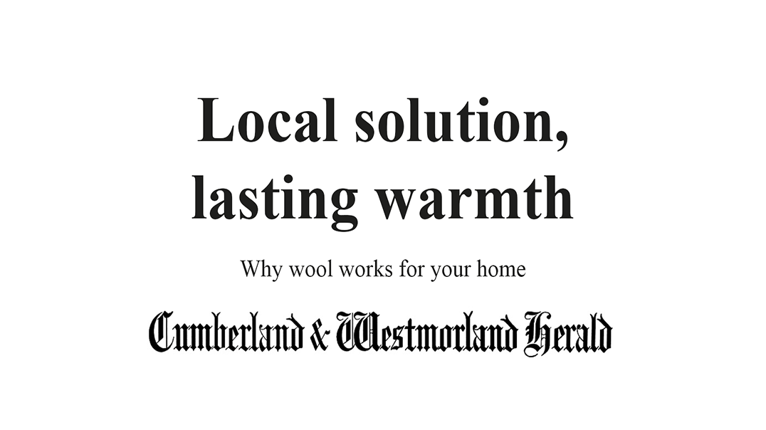 why wool works for your home